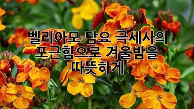벨리아모 담요: 극세사의 포근함으로 겨울밤을 따뜻하게