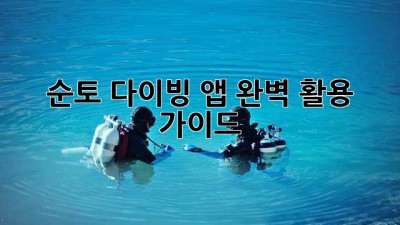 순토 다이빙 앱 완벽 활용 가이드