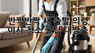 반짝반짝✨ 새 출발! 의령 이사 청소 꿀팁 대방출🏡